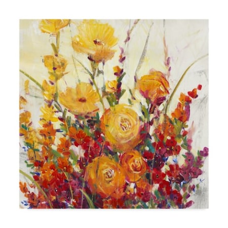 Tim Otoole 'Mixed Bouquet I' Canvas Art,14x14